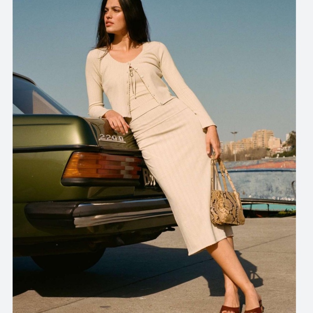 NWT Rouje Helene Skirt Size 34